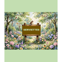 HOUSEHOLD SERVIETTES - ASSORTED